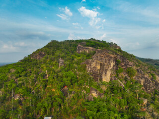 A mountain covered in trees and a clear blue sky