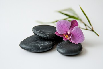 Photo of black Zen stones with pink orchids and green bamboo Isolated on a white background
