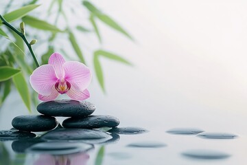 Photo of black Zen stones with pink orchids and green bamboo Isolated on a white background
