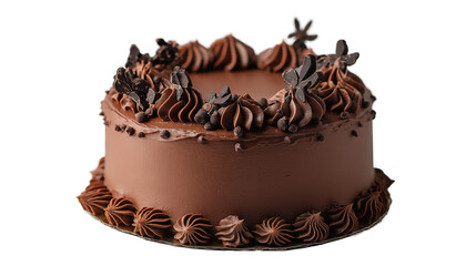 chocolate cake isolated on a transparent or white background