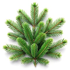 Naklejka premium Spruce Branch Isolated Image. Festive Holiday Spruce Art. Christmas New Year Branch Design. White Background Spruce Picture. Elegant Spruce Decoration.
