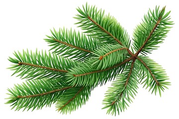Winter Spruce Branch Photo. Christmas New Year Spruce Image. Holiday Spruce Branch Isolated. 