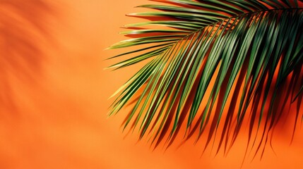 Tropical palm leaf set against a vibrant orange backdrop