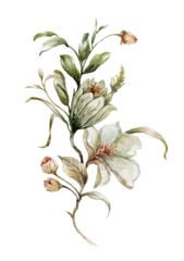 watercolor painting of leaves and flower, on transparent background © photoiget
