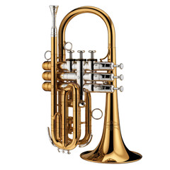 Fototapeta premium Trumpet on isolate white