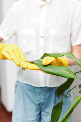 Woman in yellow rubber gloves holding a plant with matching gloves on each hand