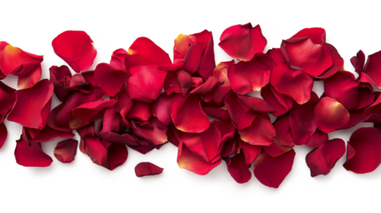 PNG, Floating red rose petals isolated on a transparent background