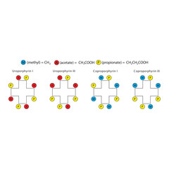 Diagram of Uroporphyrin and  Coproporphyrin molecules chemical molecular structure, featuring rings and substitutions. skeletal structure diagram. compound molecule scientific illustration.