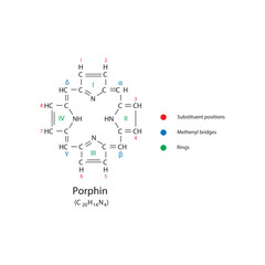Diagram of Porphin molecule chemical molecular structure, featuring rings and substitutions. Scientific schematic diagram. skeletal structure diagram. compound molecule scientific illustration.