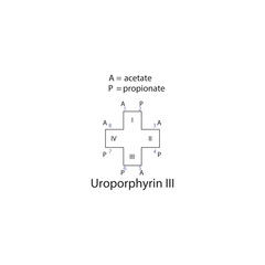 Diagram of Uroporphyrin III molecule chemical molecular structure, showing substitutions - acetate and propionate. skeletal structure diagram. compound molecule scientific illustration.