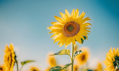 Fototapeta premium Dreamlike Landscapes and Mystical Gardens with Vibrant Flowers and Glowing Nature