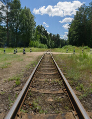 Fototapeta premium A narrow gauge railway.