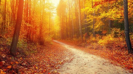 A panoramic banner mockup featuring a vibrant autumn forest with colorful leaves and a winding path, providing ample blank space for commercial text overlay, ideal for seasonal or nature promotions