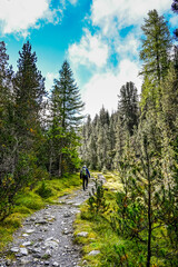 Ofenpass, Wanderweg, Wanderer, Saumpfad, Champlönch, Alp Champlönch, Moor, Nadelwald, Bergföhre,...