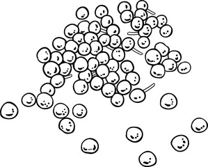 Crambe Seeds Outline Illustration. Essential oil ingredient for cosmetics, spa, aromatherapy, health care, alternative medicine. 