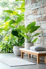Serene indoor garden a tranquil space with lush greenery and natural elements