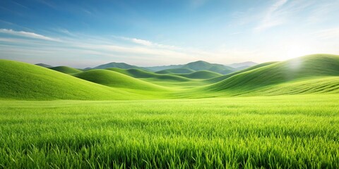 Fototapeta premium Silhouette of green grass field and hills isolated on white background