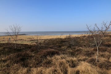 Blick auf die Küstenlandschaft bei Cuxhaven an der Nordsee	