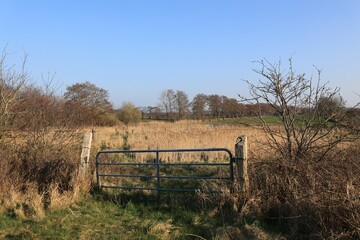 Blick auf die Küstenlandschaft bei Cuxhaven an der Nordsee	