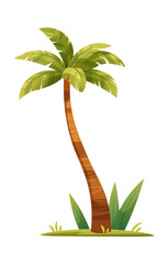 Drawn tall palm tree on white background. Long tropical plant. Vector illustration