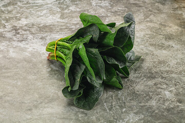 Ripe green spinach leaves heap