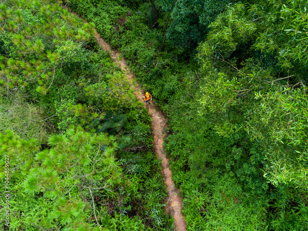 Poster Aerial view of woman ultra marathon runner running on tropical rainforest trail