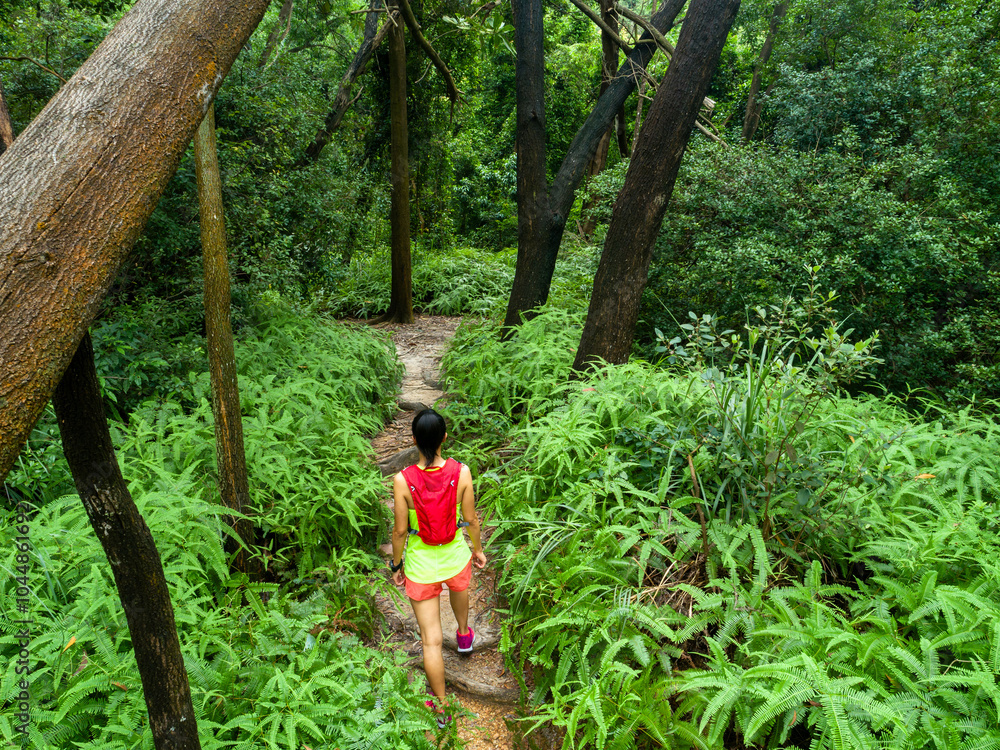 Poster Aerial view of woman ultra marathon runner running on tropical rainforest trail