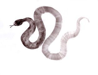 snake, year of the snake, chinese japanese ink painting