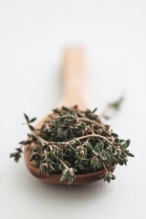 Fototapeta premium Dried thyme on wooden spoon on white background