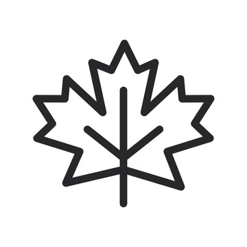 Fall Mapple Leaf Lineart Icon