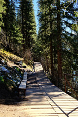 Wooden boardwalk trail through mountain forest along lakeside, hiking path with scenic wilderness views