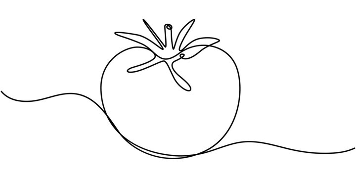 recommend clip art: One continuous line drawing Tomato vegetable. Tomato single line illustration, tomato slice continuous line vector illustration design, Abstract red shaped tomato. single line tomato icon