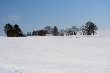 北海道　冬の美瑛の雪景色