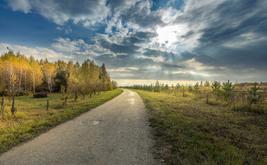 A road with trees in the background and a cloudy sky