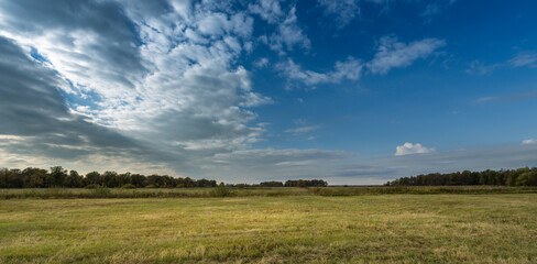 Obraz premium A large, open field with a clear blue sky
