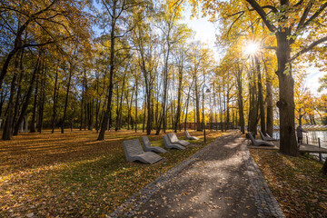 Naklejka premium A park with a path and benches
