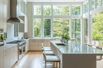 Natural Light and Clean Lines minimalist kitchen
