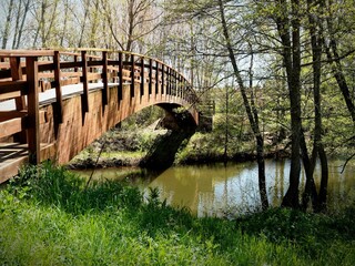 Fototapeta premium Serene Wooden Bridge in a Tranquil Park