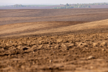 fertile soil in spring during the preparation for sowing