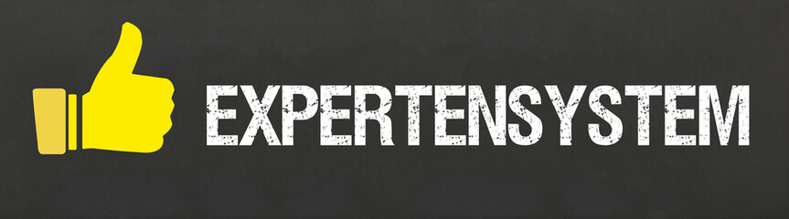 Expertensystem	