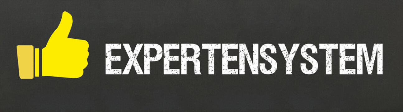 Expertensystem	