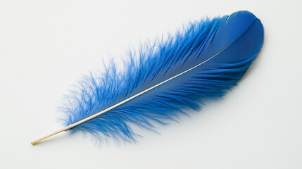 A blue feather lies on a white background, with clear details and a delicate texture