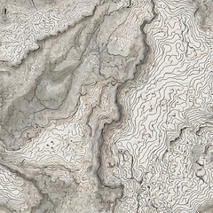 topographic line contour map background, geographic grid map.