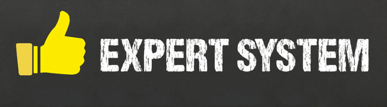 Expert System	