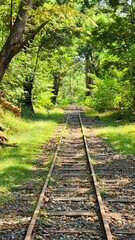 lonely train tracks