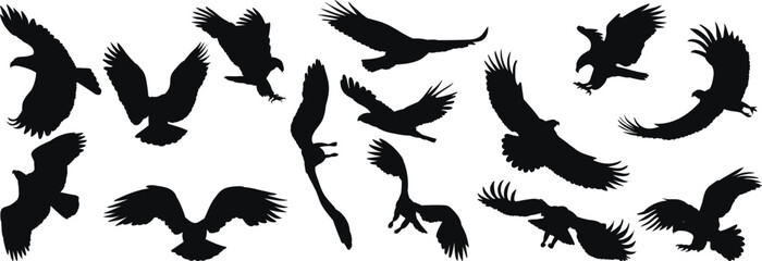 set of flying eagles silhouette, vector