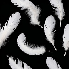 Obraz premium white feather white background