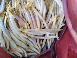 Close up view of banana flower pollens. Banana Blossom. Selective focus banana flower or banana blossom. Musa paradisiaca has a lot of vitamins and nutrients.