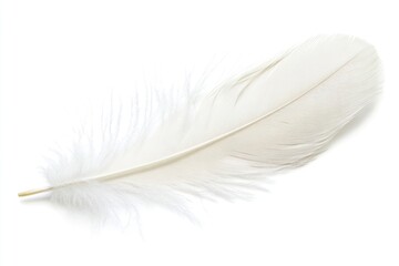 Fototapeta premium Realistic photo of a soft white feather accessories accessory jewelry.