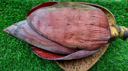 Selective focus banana flower or banana blossom. Banana or Musa paradisiaca has a lot of vitamins and nutrients.